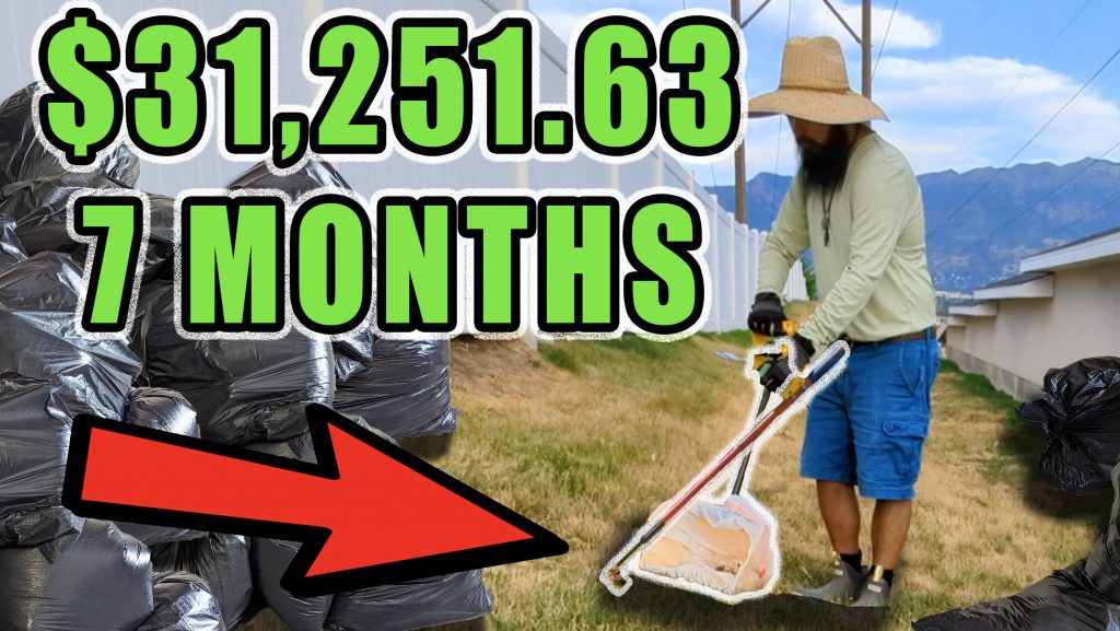 How I Made $30,000 in 7 Months with my Pet Waste Removal Business